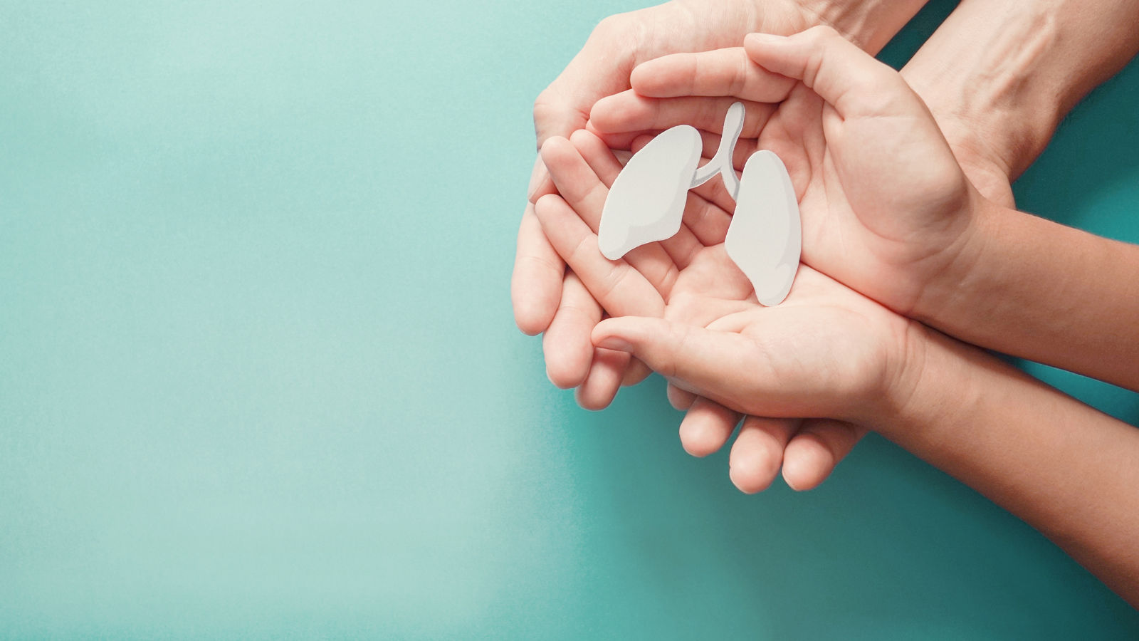 Adult and child hands holding lung, world tuberculosis day, world no tobacco day, corona covid-19 virus, eco air pollution; organ donation concept