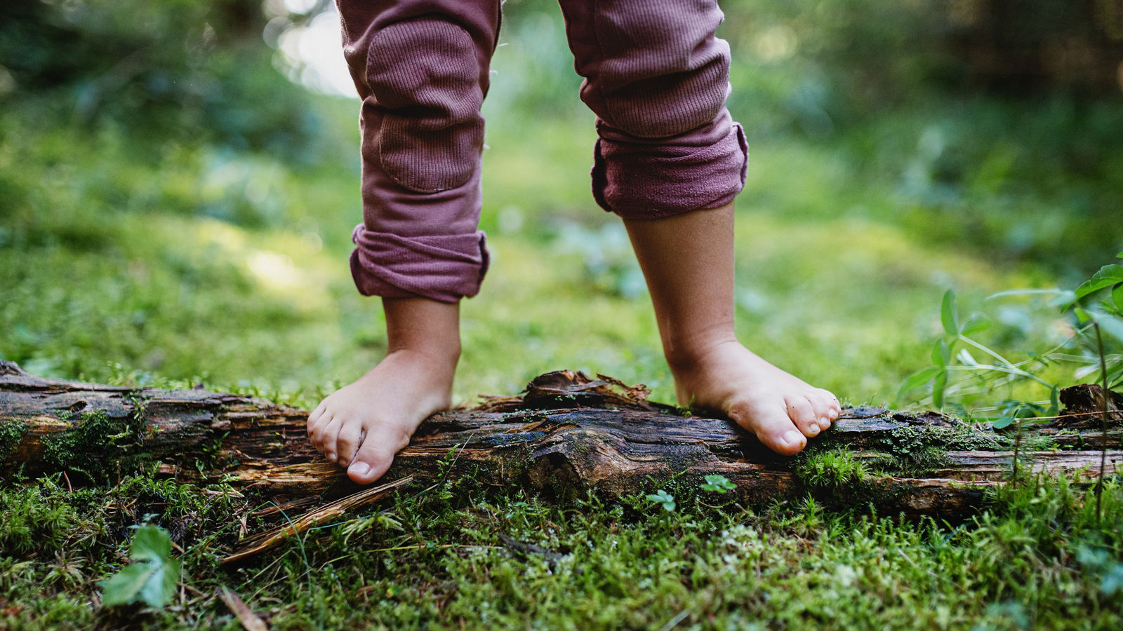 Bare feet of small child standing barefoot outdoors in nature, grounding concept.