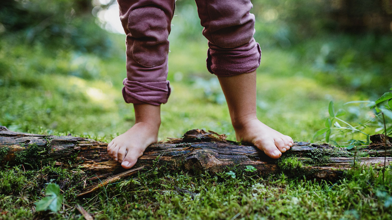 Bare feet of small child standing barefoot outdoors in nature, grounding concept.,Bare feet of small child standing barefoot outdoors in nature, g