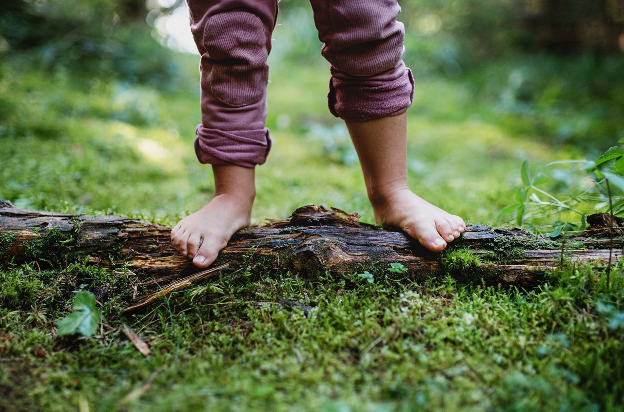 Bare feet of small child standing barefoot outdoors in nature, grounding and forest bathing concept.