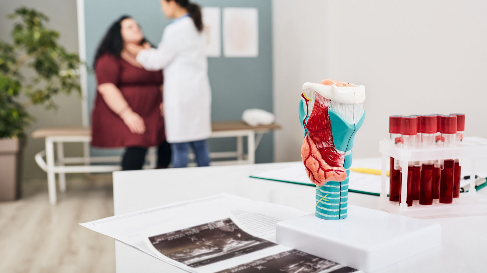 Thyroid anatomical model and thyroid hormone blood test tubes, close-up. Doctor probes the neck of a fat woman in background