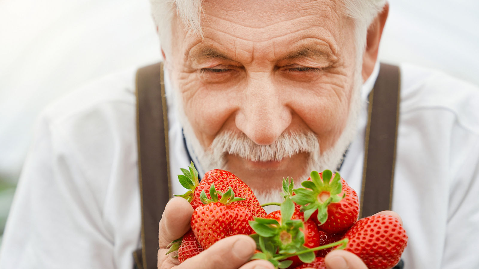 Farmer enjoying the smell of fresh strawberries.