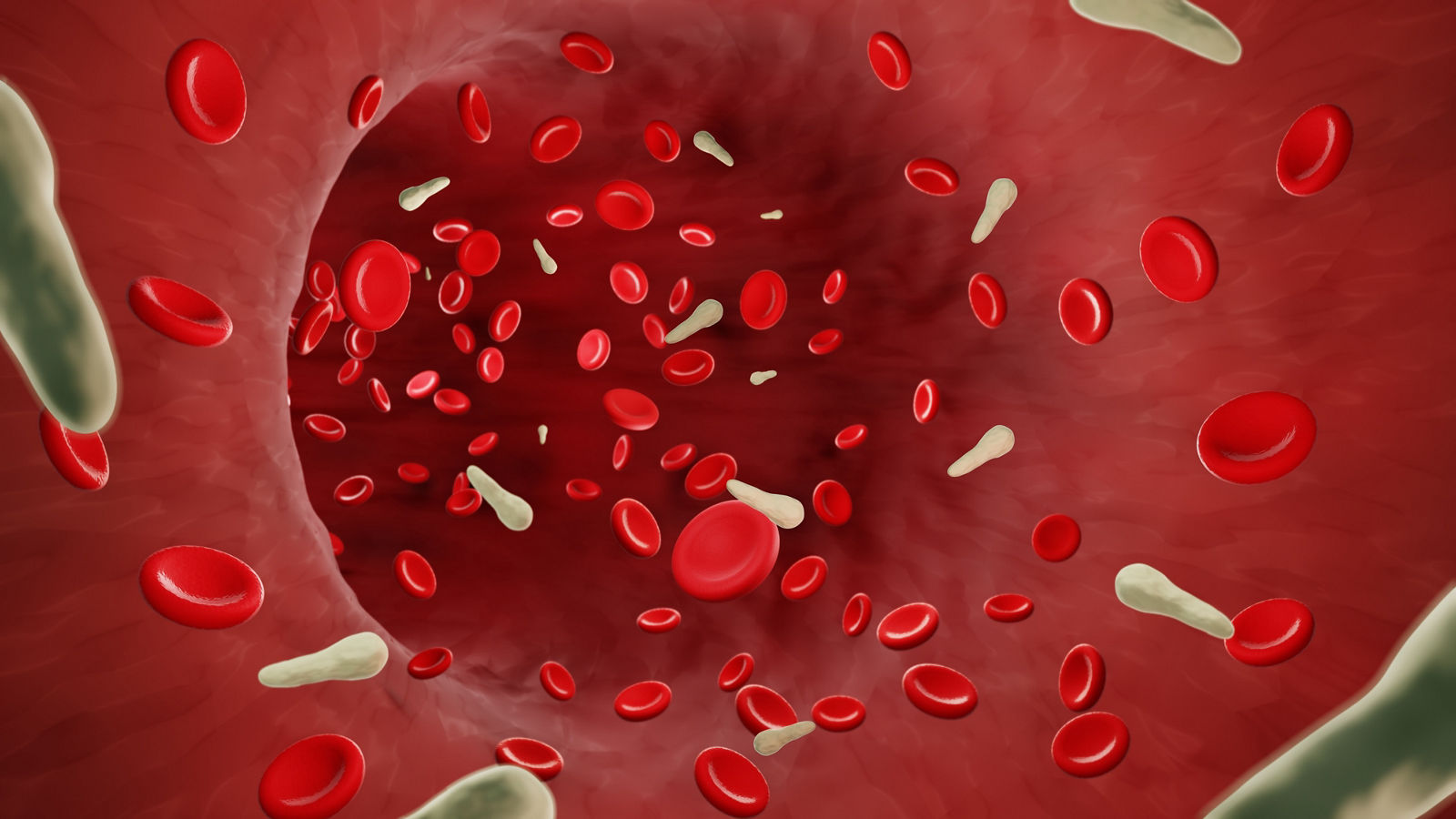 Tetanus bacteria in blood flow, Clostridium tetani infection