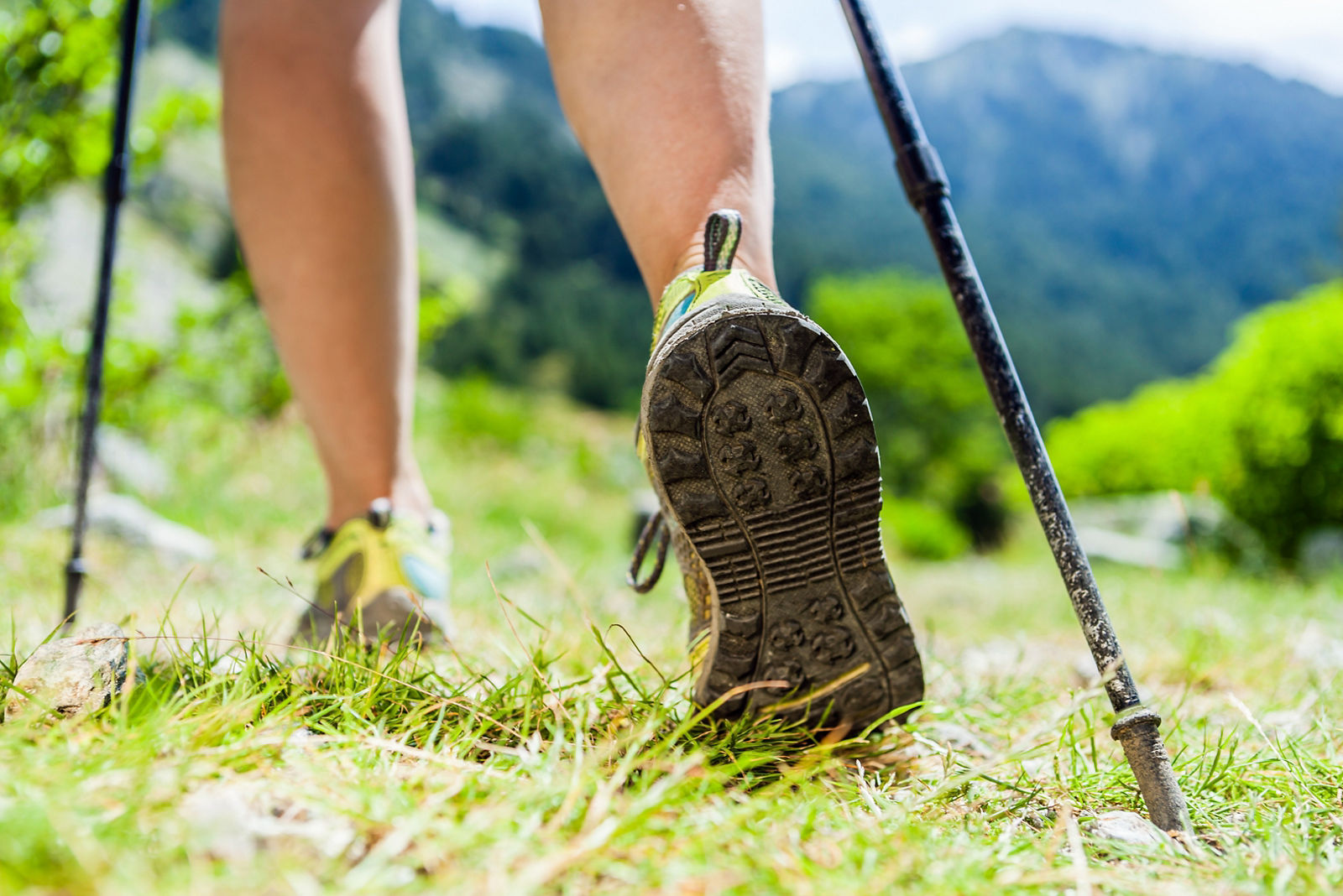 Arthrose: Diagnose und Behandlungsmöglichkeiten