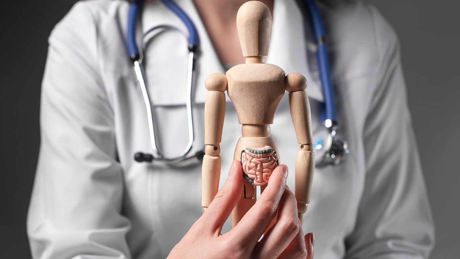 Intestine, 3d organ model. Gastrointestinal ache and bowel, colon health concept