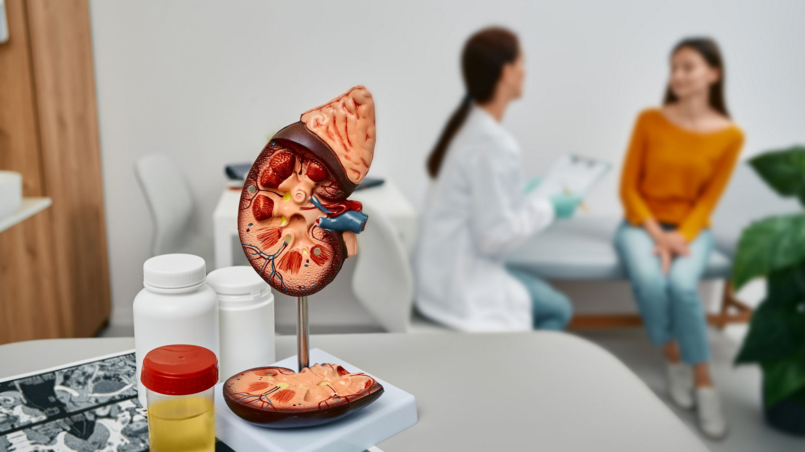 Urologist consultation for adult woman. Collecting urine to tests and treatment of kidney diseases at urology