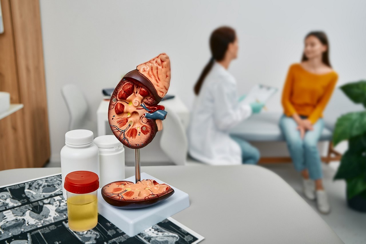 Urologist consultation for adult woman. Collecting urine to tests and treatment of kidney diseases at urology