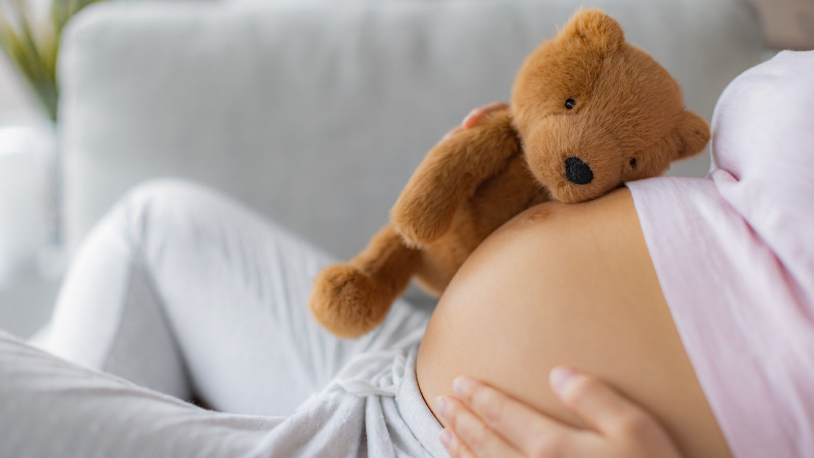 Pregnant woman caressing belly hugging teddy bear baby toy on pregnancy bump waiting for the birth of her child