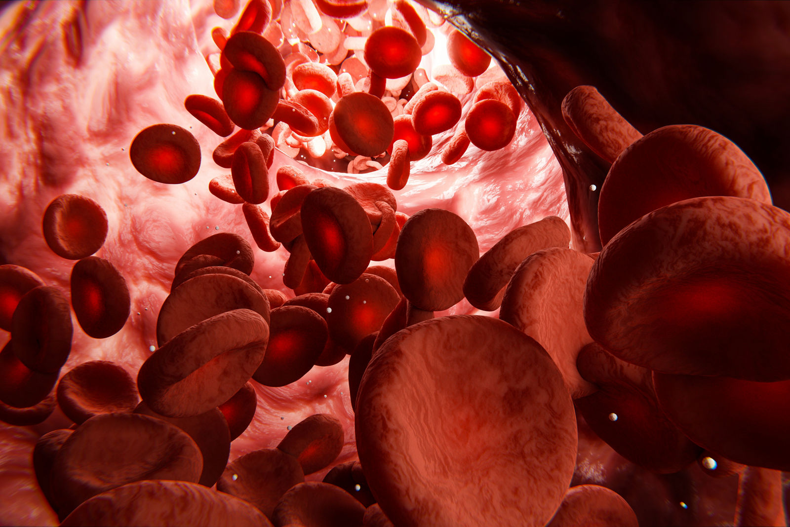 Vaskulitiden: Wenn das Immunsystem die eigenen Gefäße angreift