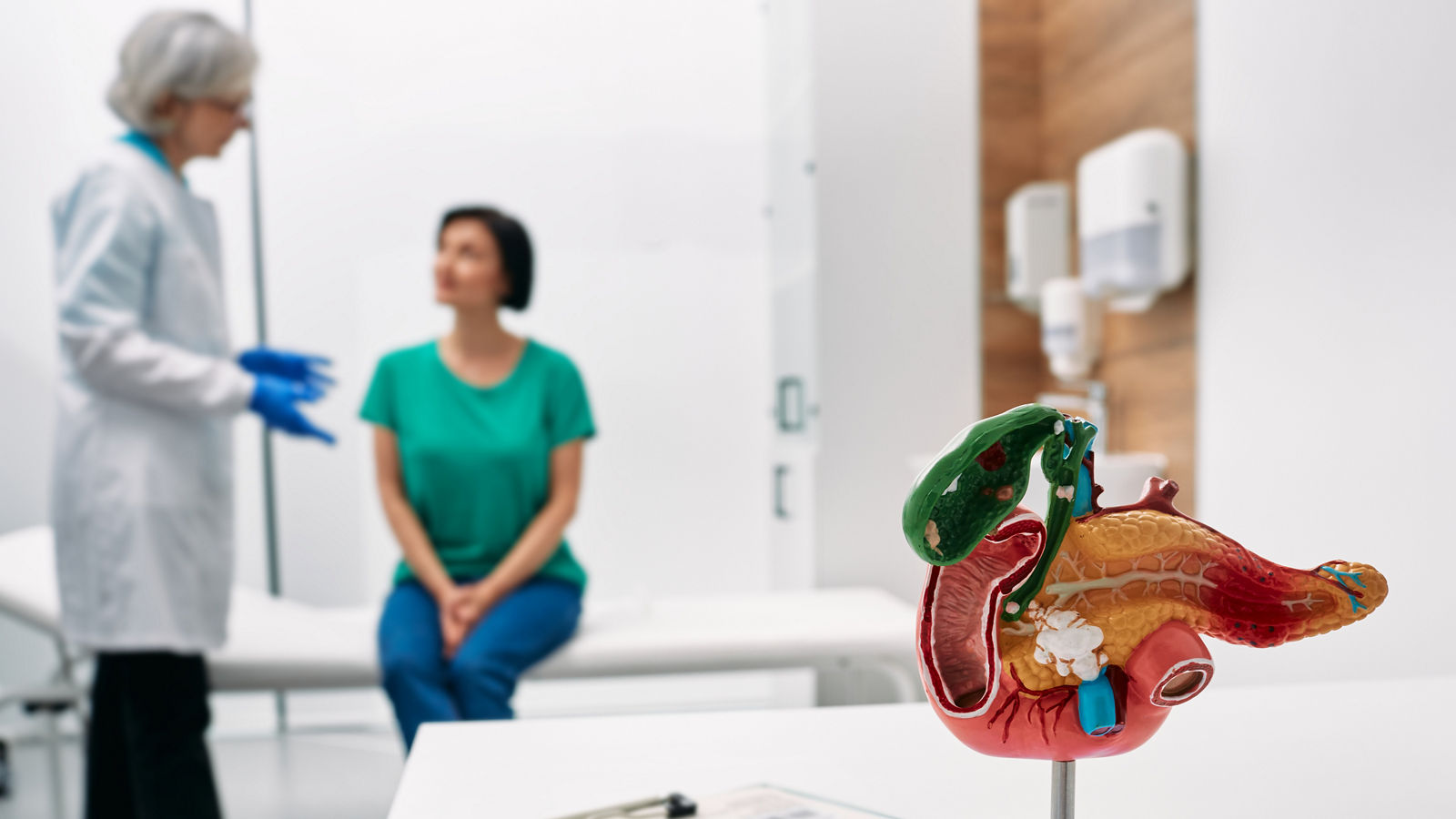 Gastroenterology consultation. Anatomical model of pancreas on doctor table over background gastroenterologist consulting woman patient with gastrointestinal disorders,Gastroenterology consultation. Anatomical model of pancreas on d