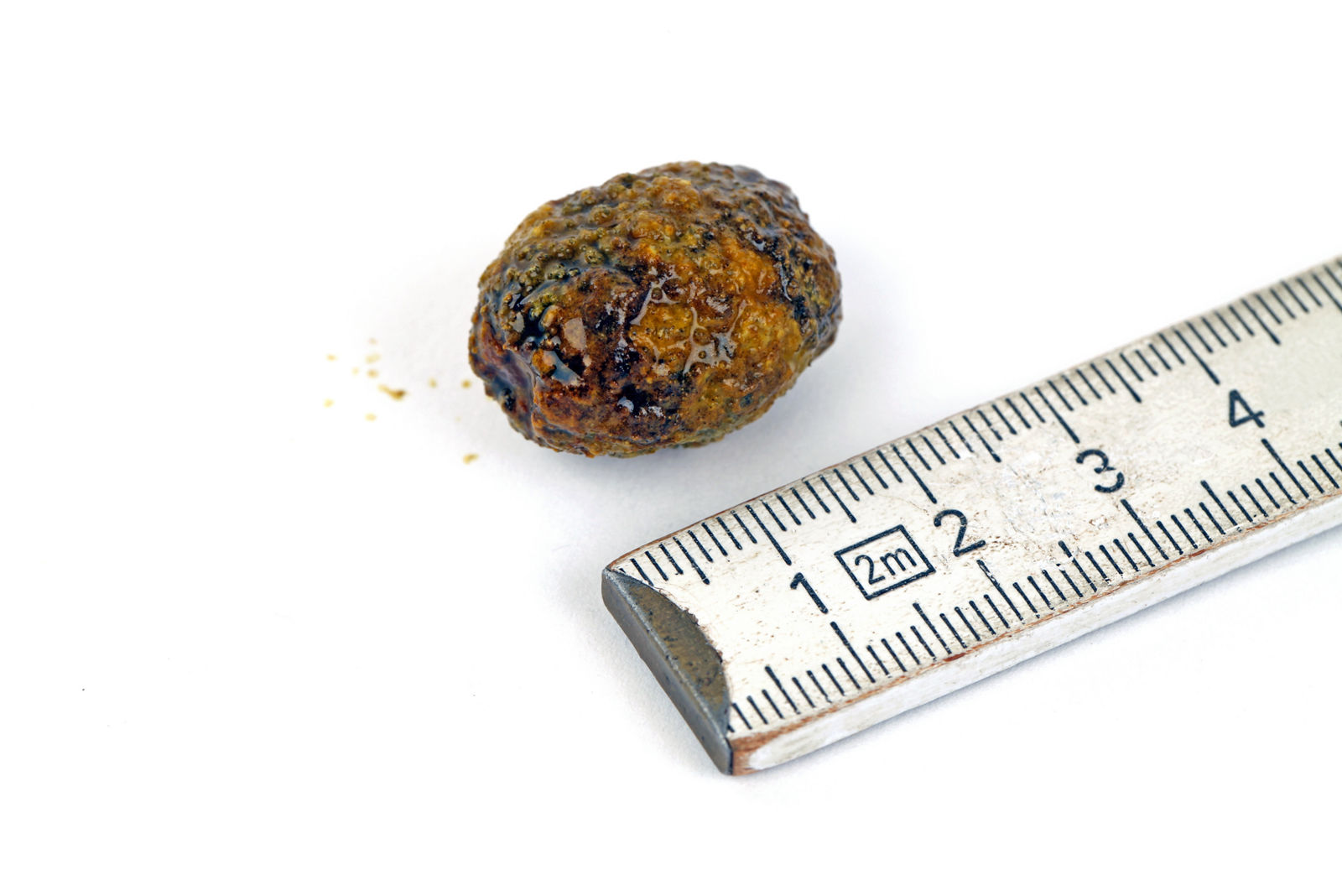 Galleinstein neben einem Meterstab