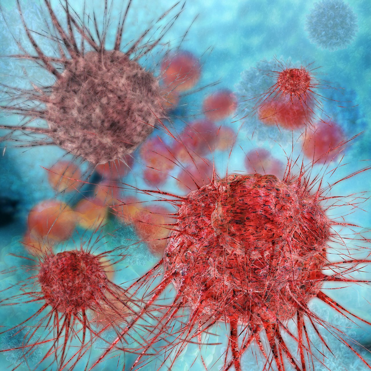 Darstellung mehrerer roter Zellen vor hellblauem Hintergrund