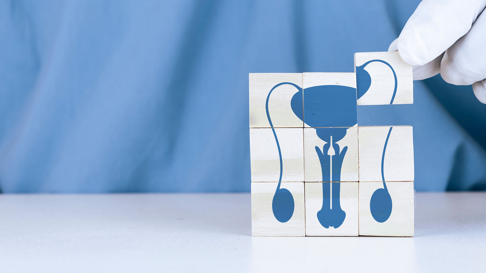Erectile dysfunction, priapism, Peyronie's disease, orchitis, varicocele, hydrocele. Donor and Organ Donor. The Hand arranges the wooden cubes with a light blue background
