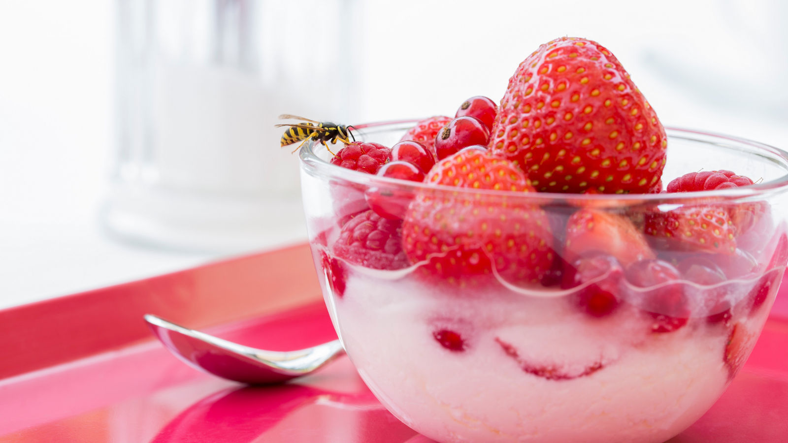 A wasp on Red fruits in bowl glass