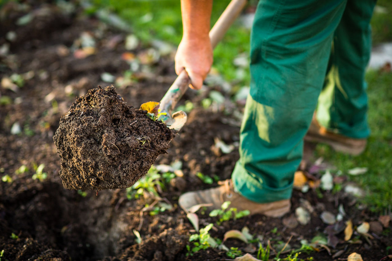 Kein Hexenschuss im Blumenbeet