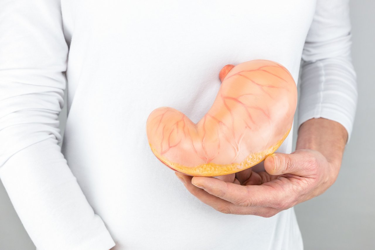 Female hand holding artificial model of human stomach isolated on white shirt