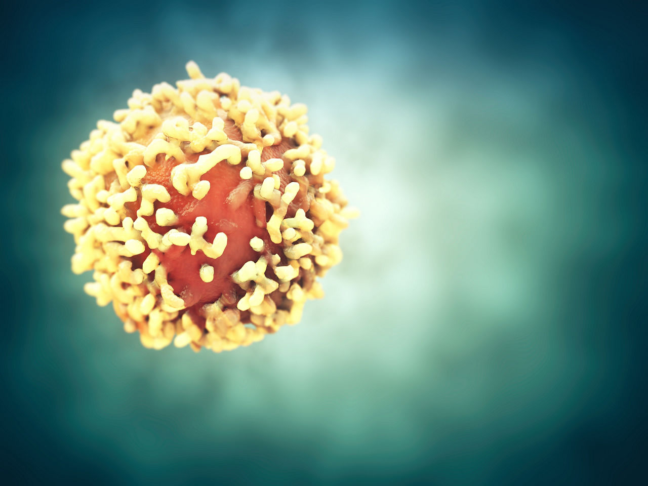 Onkologisches Zentrum lädt zum Krefelder Krebstag