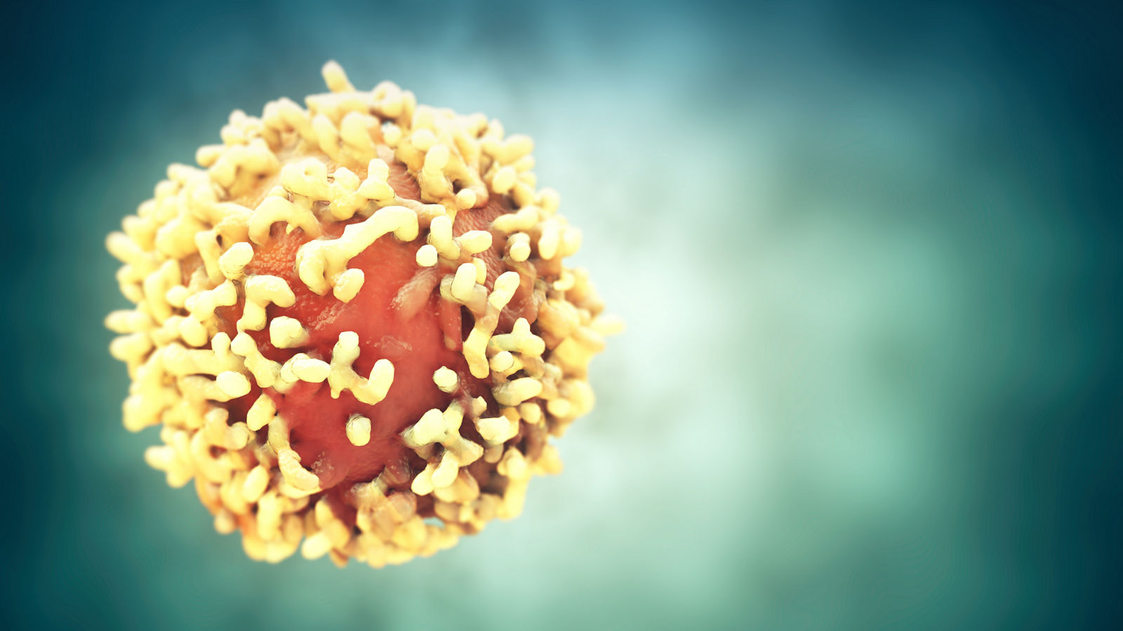 Illustration Krebszelle