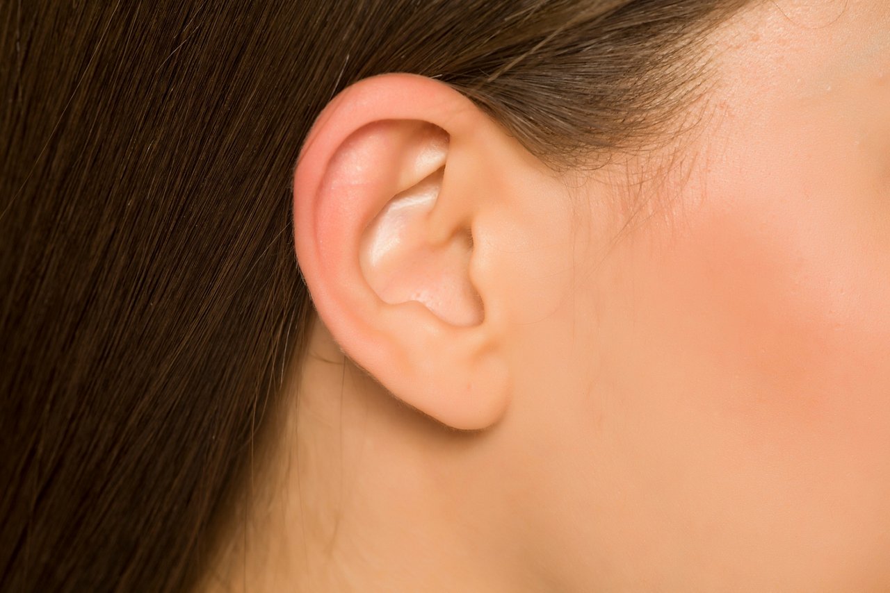 Closeup of ear of young woman