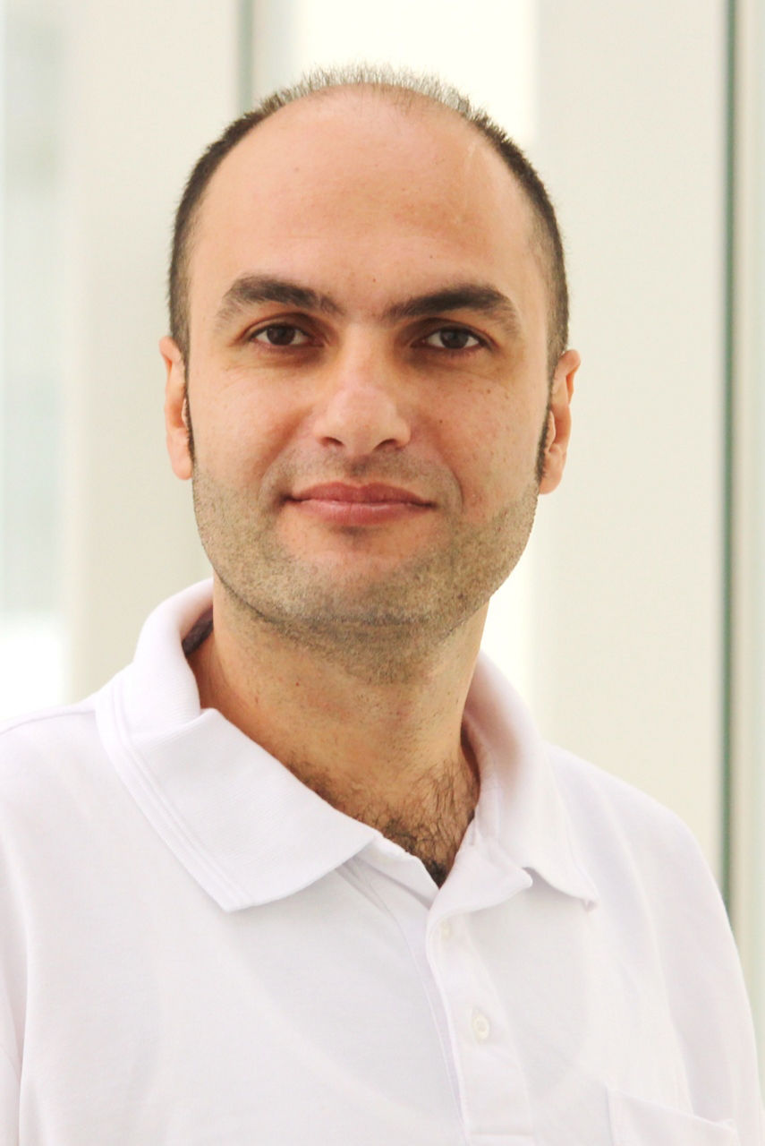 Mohamad Aladdin Helios Klinikum Aue