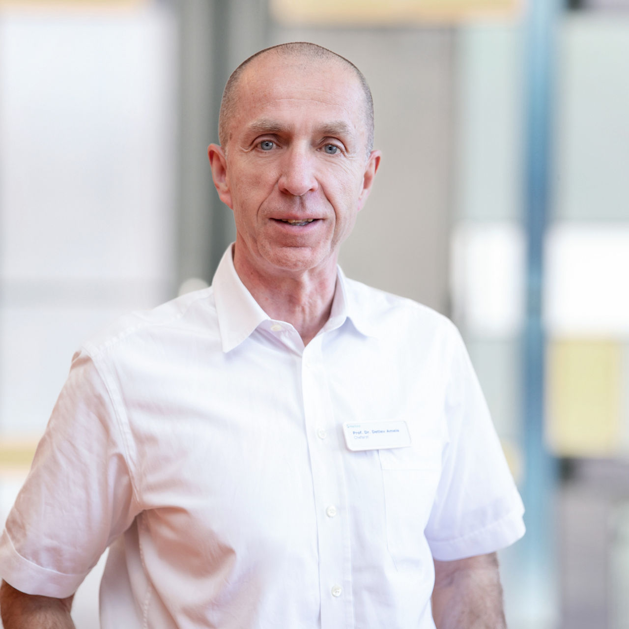 Vortrag am 28.10.: Entzündung und Krebs der Bauchspeicheldrüse