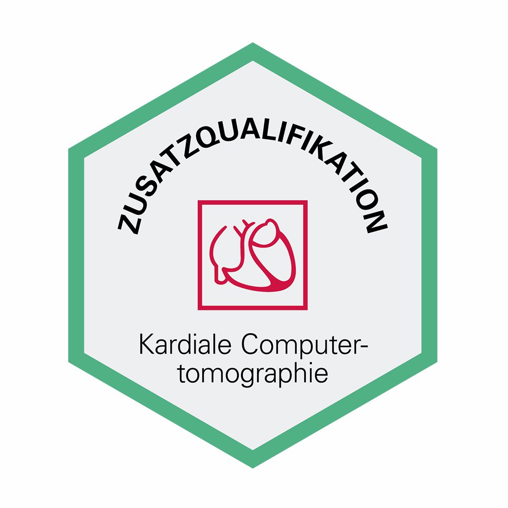 Logo - DGK - Zusatzqualifikation - Kardiale Computertomographie