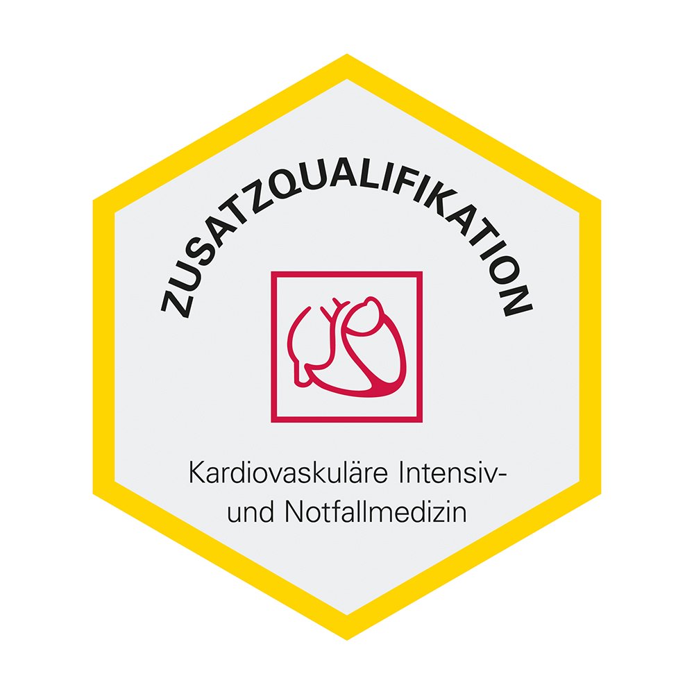Logo - DGK - Deutsche Gesellschaft für Kardiologie - Zusatzqualifikation - Kardiovaskuläre Intensiv- und Notfallmedizin