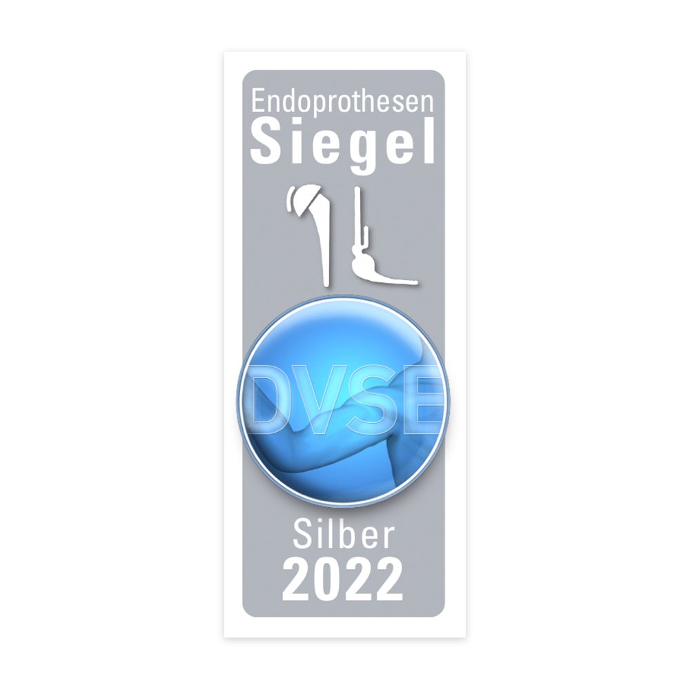 Logo - DVSE-Siegel (silber) 2023