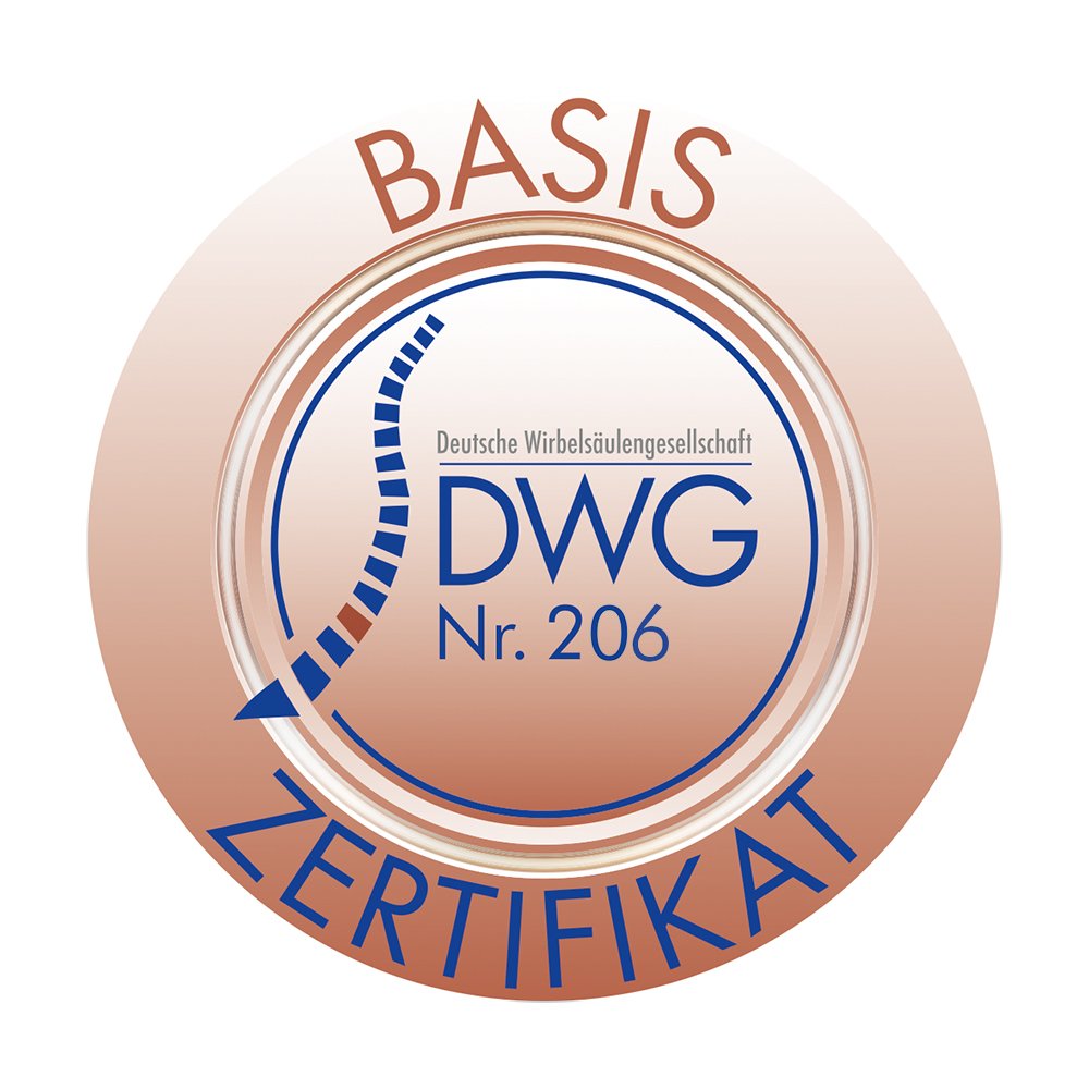Logo - DWG Basis Nr. 206 - Deutsche Wirbelsäulengesellschaft
