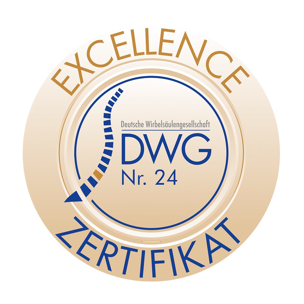 Logo - DWG Excellence Nr. 24 - Deutsche Wirbelsäulengesellschaft