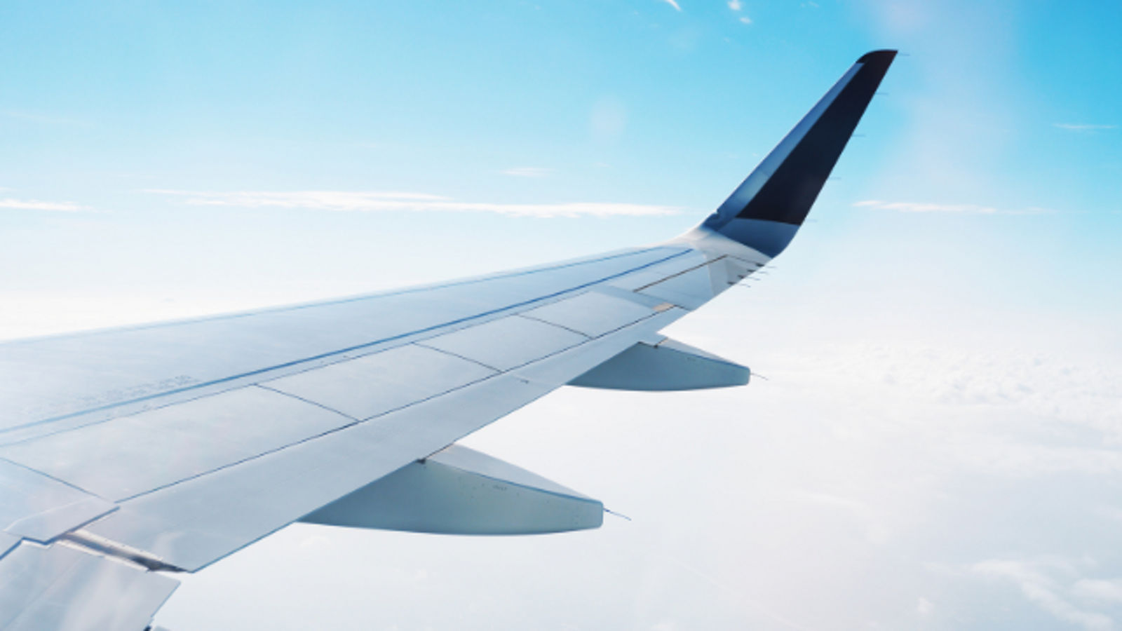 Wenn das Fliegen auf die Ohren geht