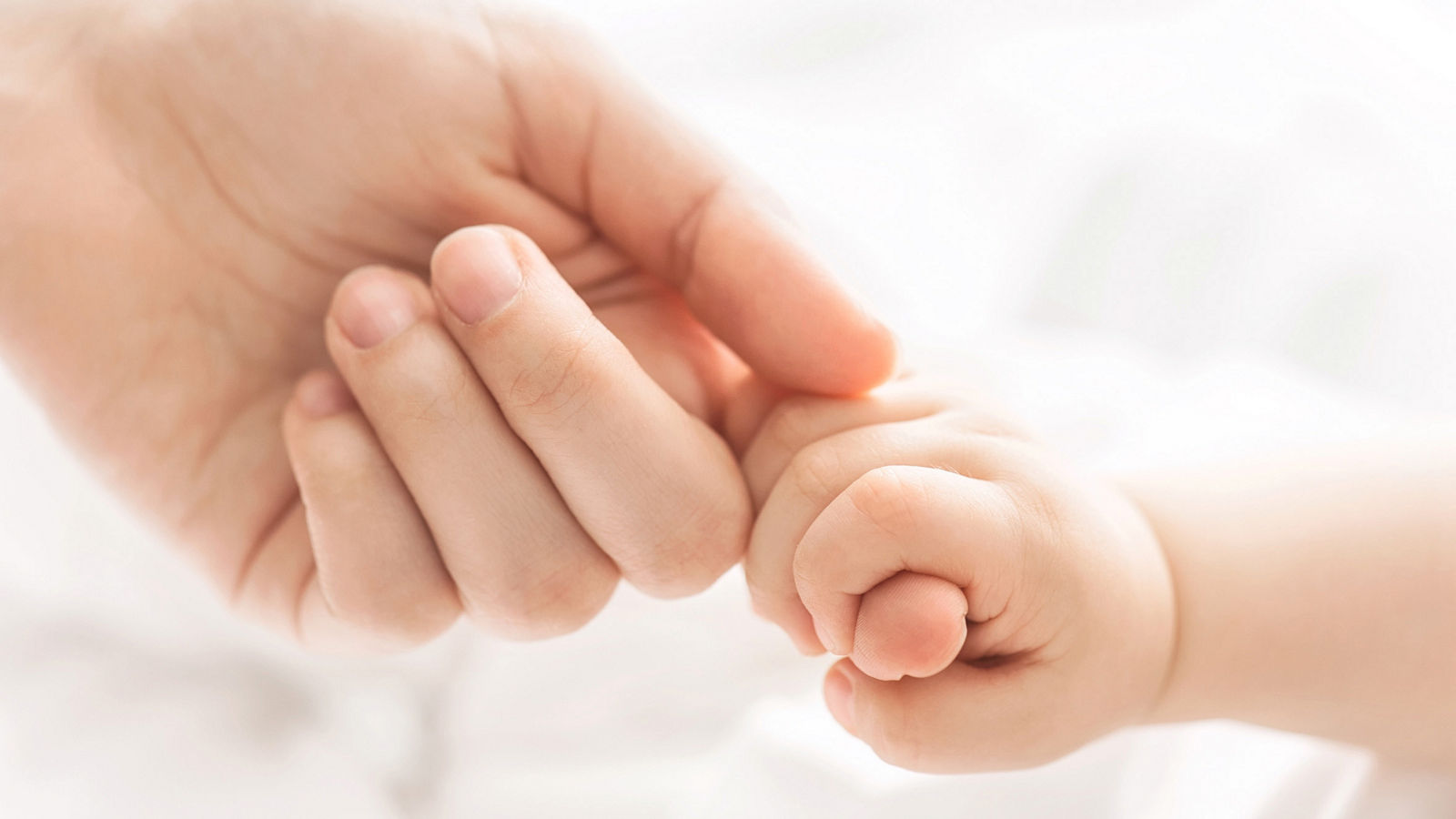 Hand of the child in a hand of mother