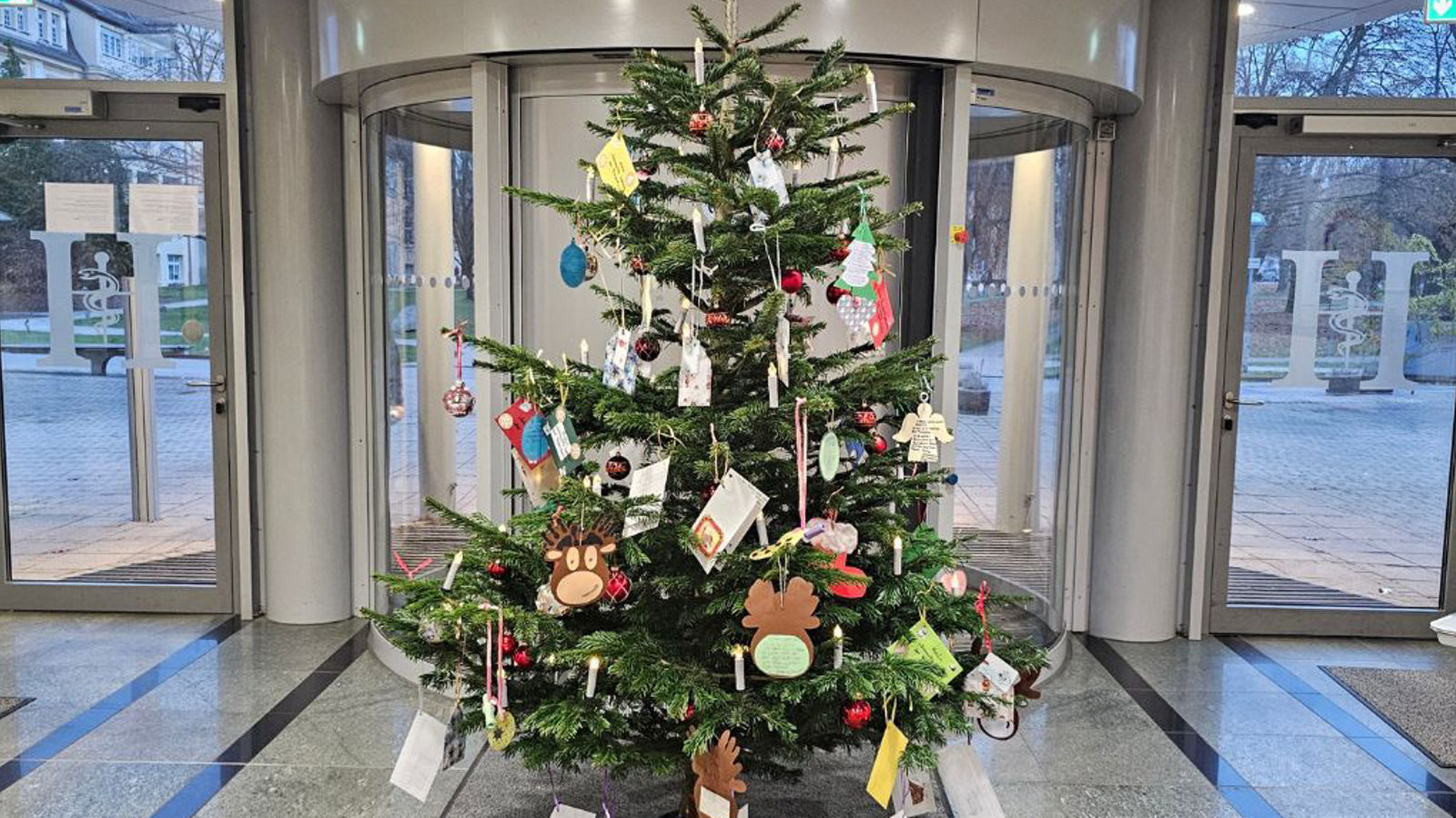 2024 Bildformat 4:3 Presse Webseite - 2024 Weihnachtsbaum