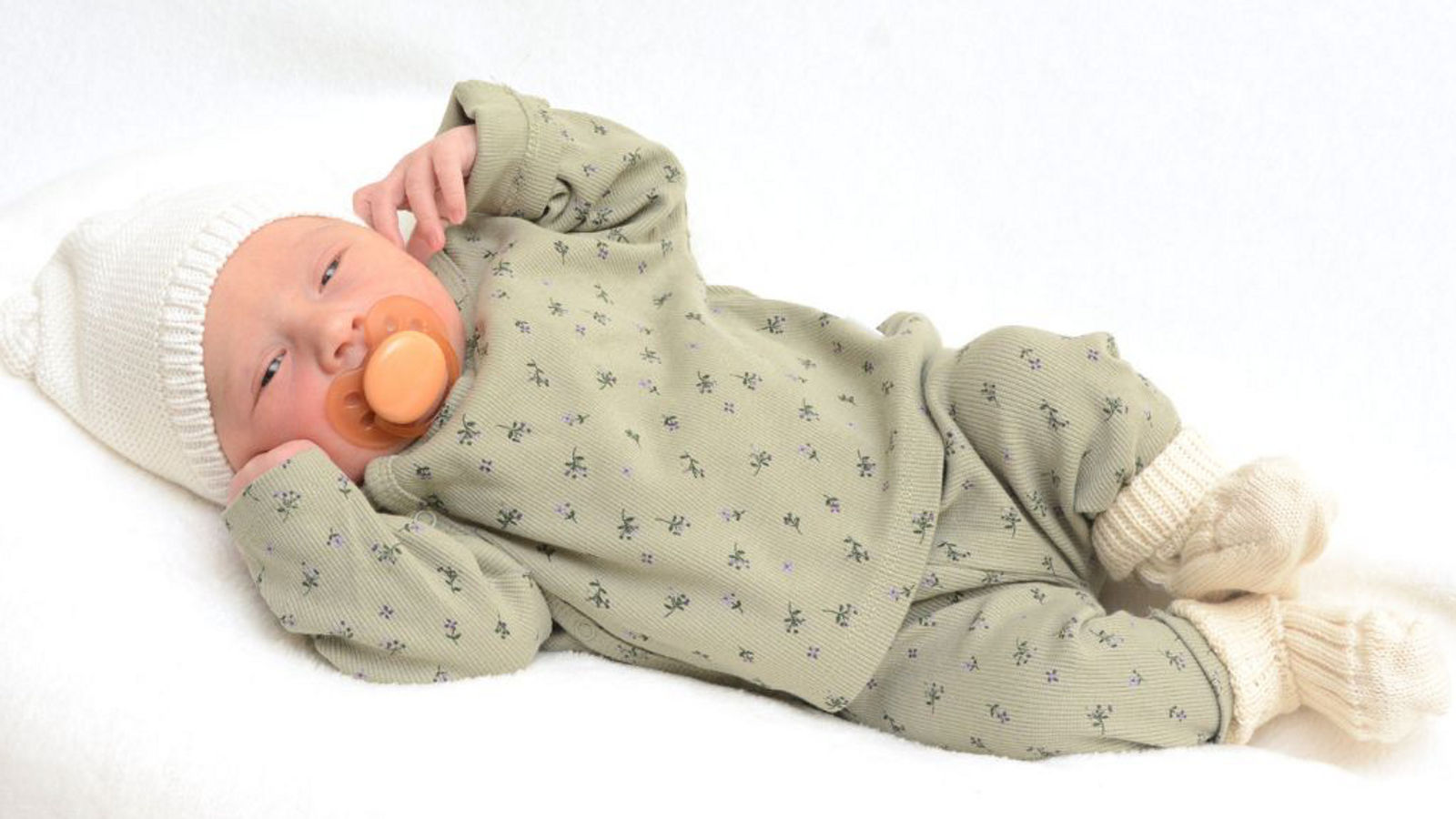 2024 Bildformat 4:3 Presse Webseite - 2024 Edda