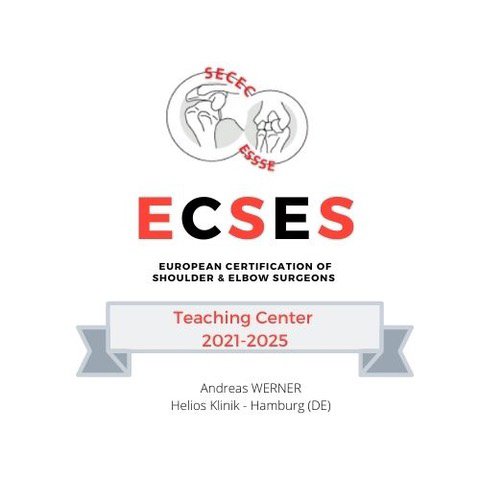 ECSES Schulter-Dr. Werner