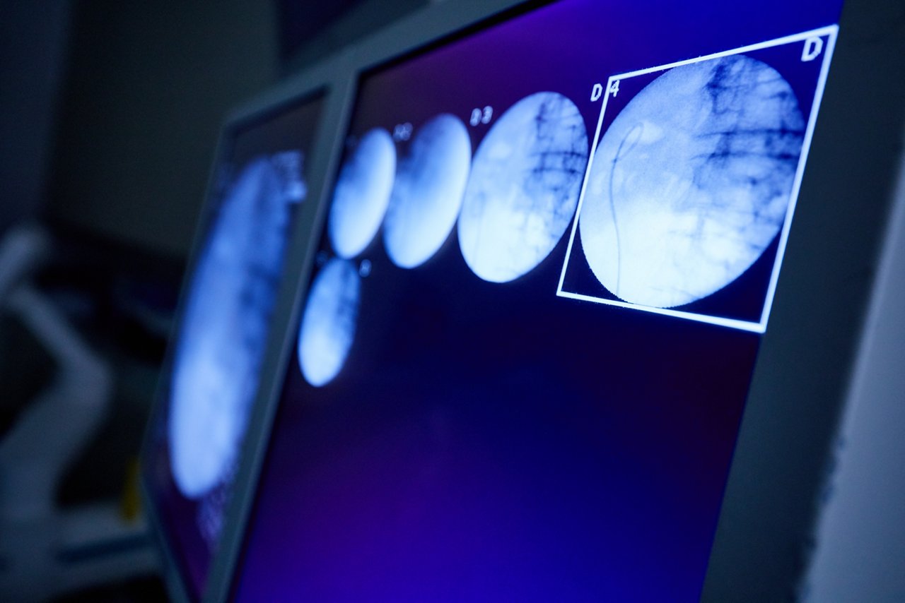  Hannover, DEU, 13.06.2017 Sommerfest der Wirtschaftsförderung der >Region Hannover [ (c) Christian Wyrwa, Diplom-Foto-Designer (FH),  Burgwedeler Str. 91D , 30916 Isernhagen (bei Hannover), Germany, E-Mail: info@wyrwa-foto.de,  Tel: +49-511-3945254, Fax:+49-511-1233545, Mobil: +49-171-8340094,#]