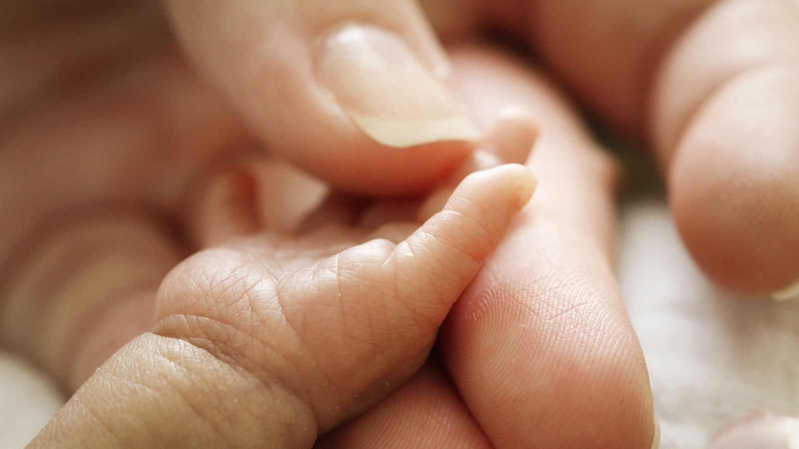 Neonatologie, Helios Klinikum Berlin-Buch, Kinder- und Jugendmedizin