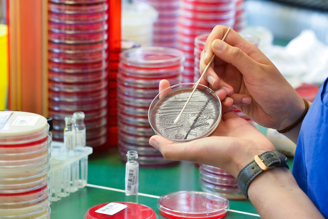 Labordiagnostik Petrischale am Helios Universitätsklinikum Wuppertal