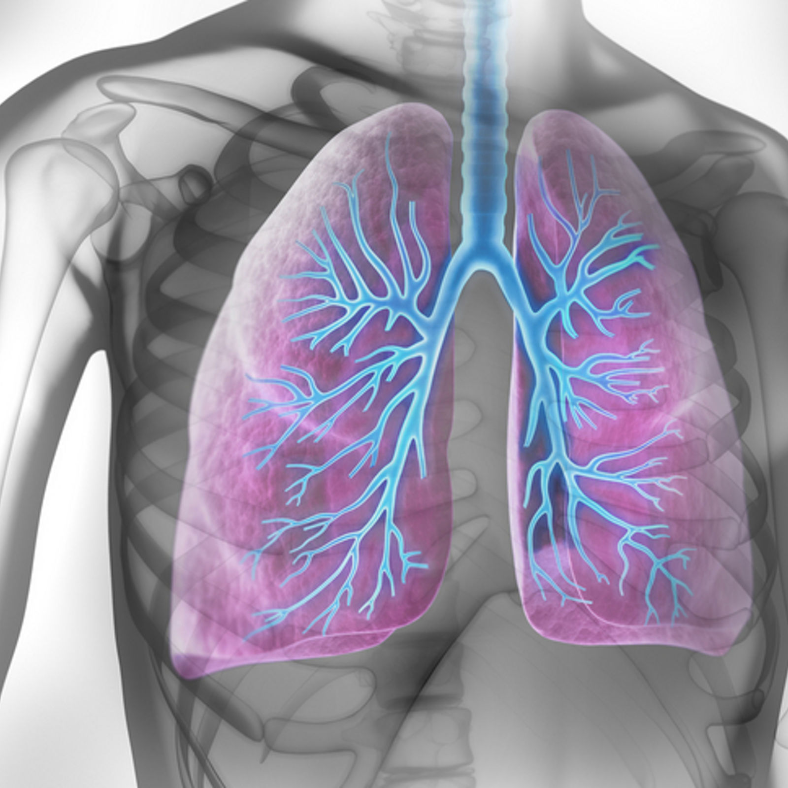 Lungenkrebsfrüherkennung kommt