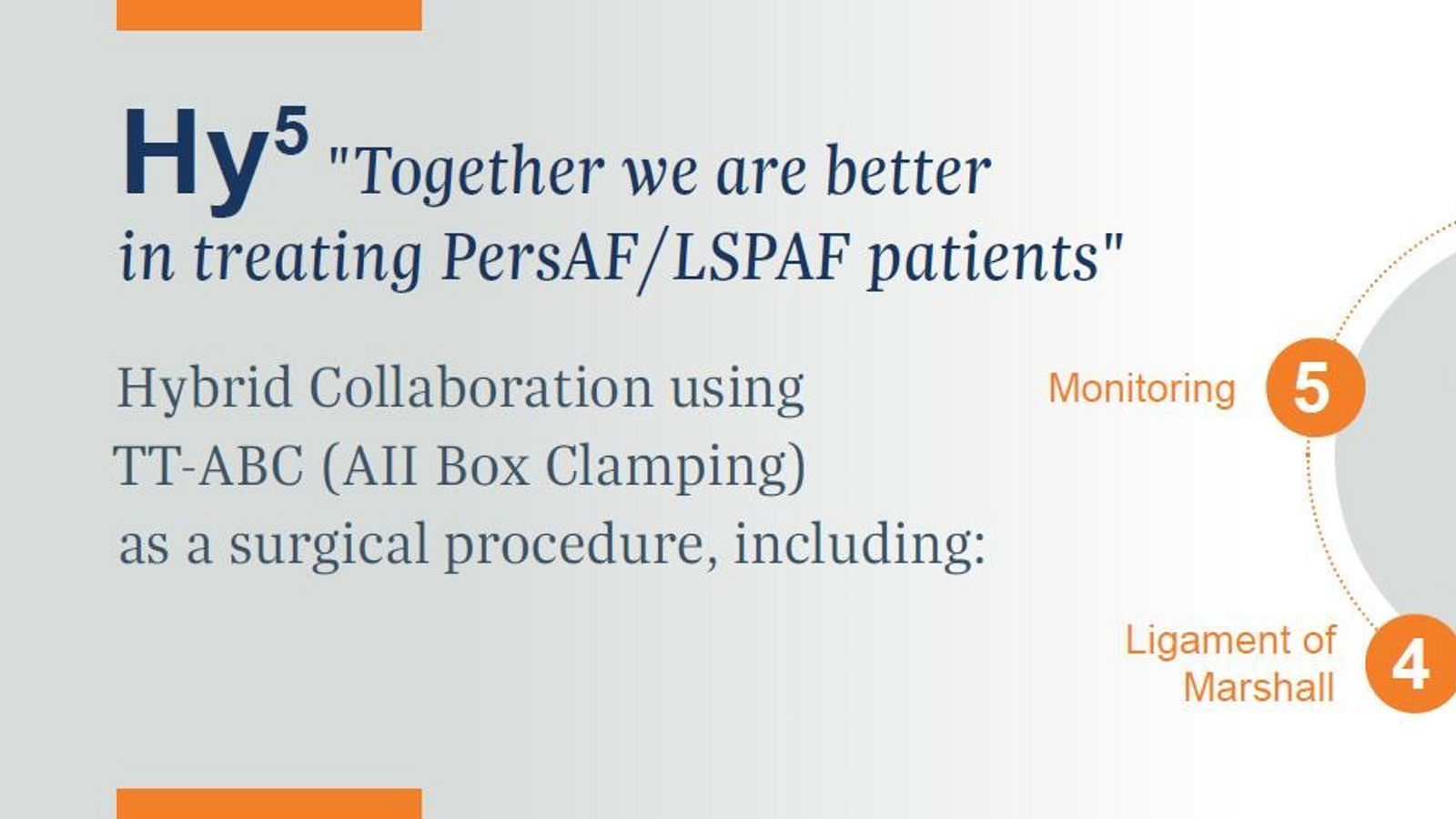 Hy5 Prinzipien der thorakoskopischen Ablation