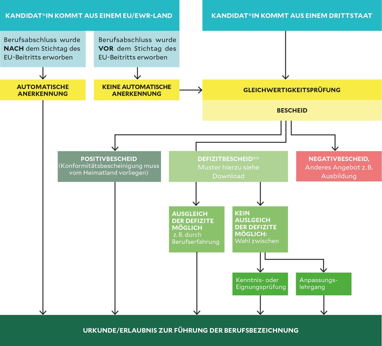 Ablauf Anerkennung Karriere International