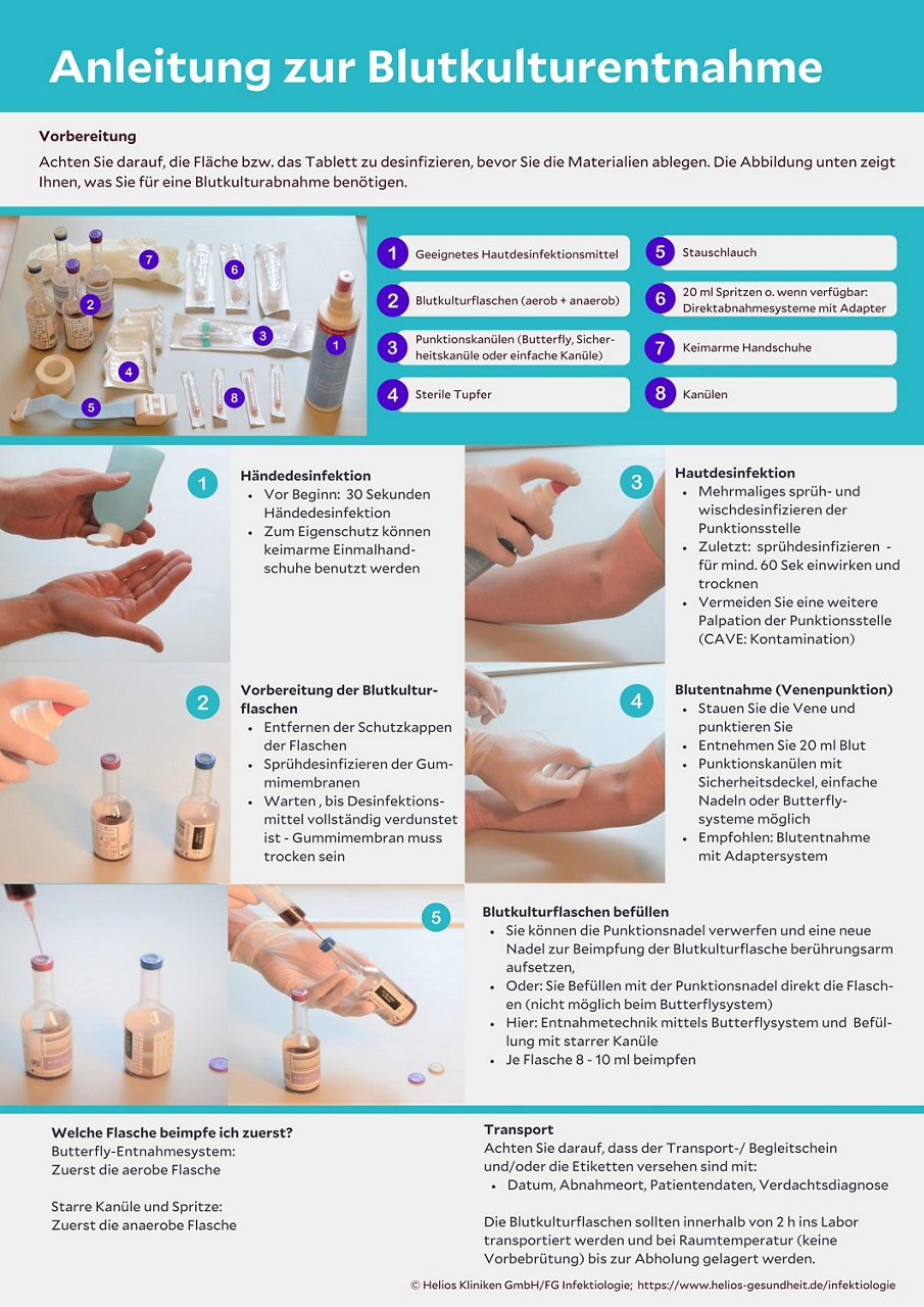 Anleitung zur Blutkulturentnahme Infografik