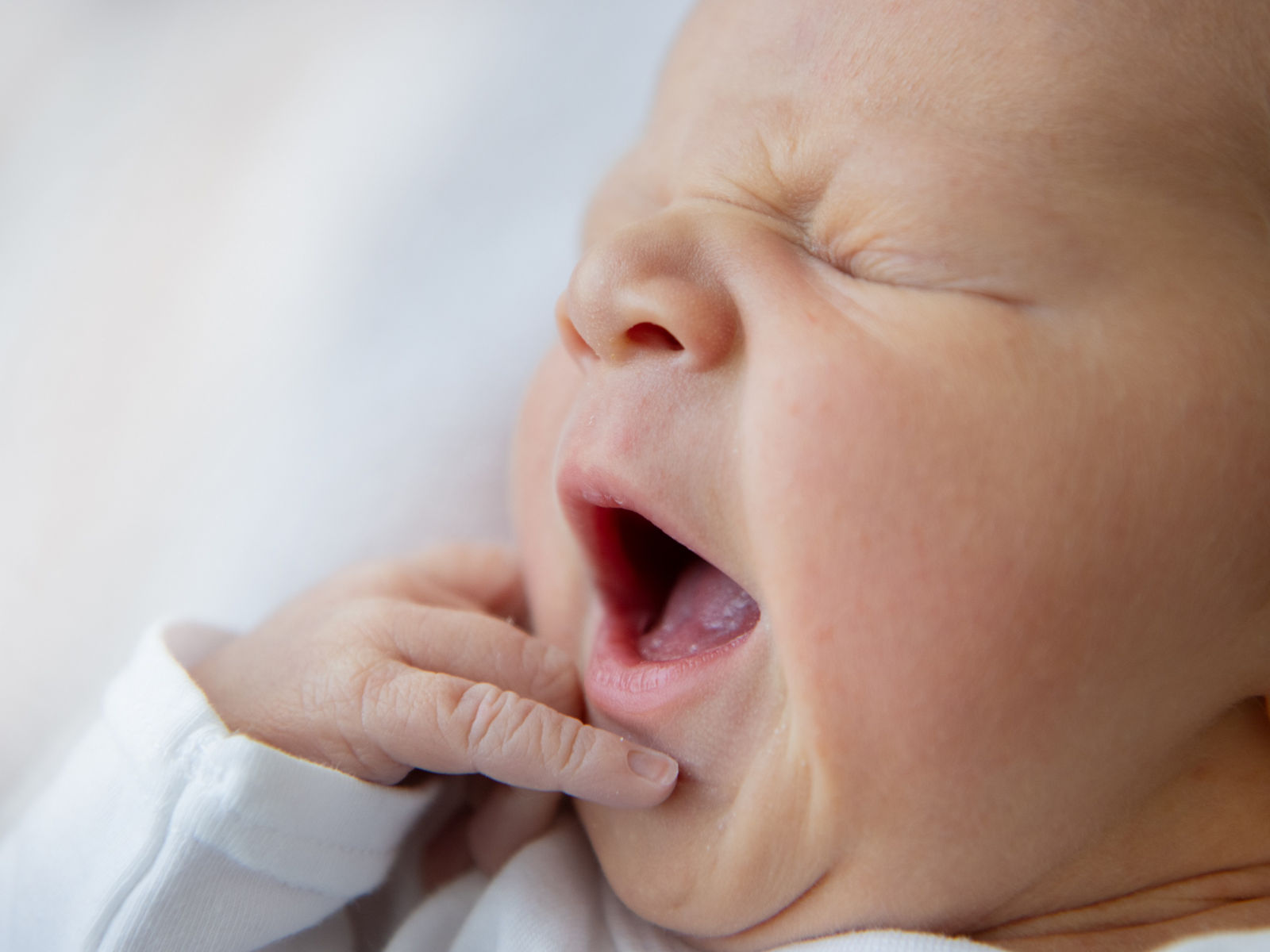 559 Geburten im Jahr 2025 – Helios Klinikum Aue zieht positive Geburtshilfe-Bilanz