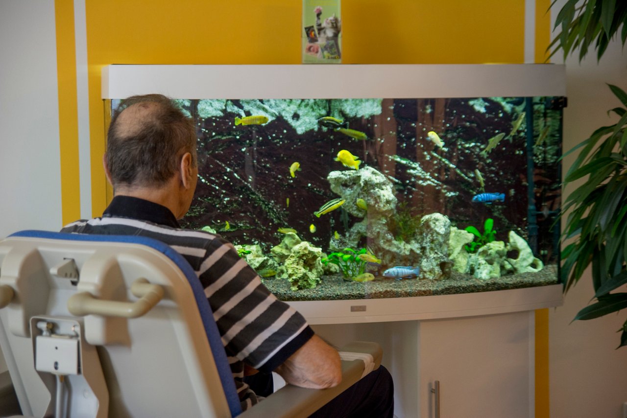Patient im Rollstuhl schaut in ein Aquarium 