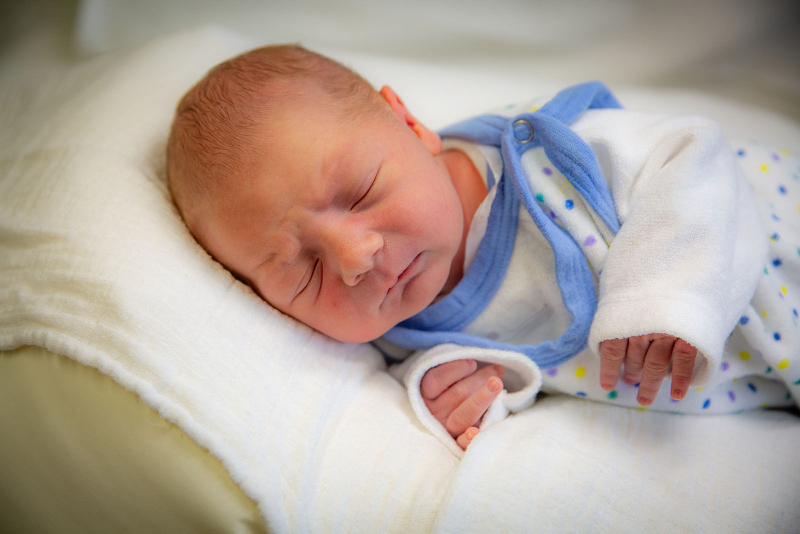 Shawn Phoenix  Beier