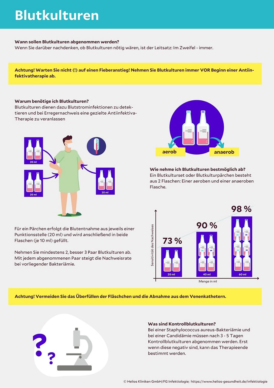 Blutkulturen Infografik