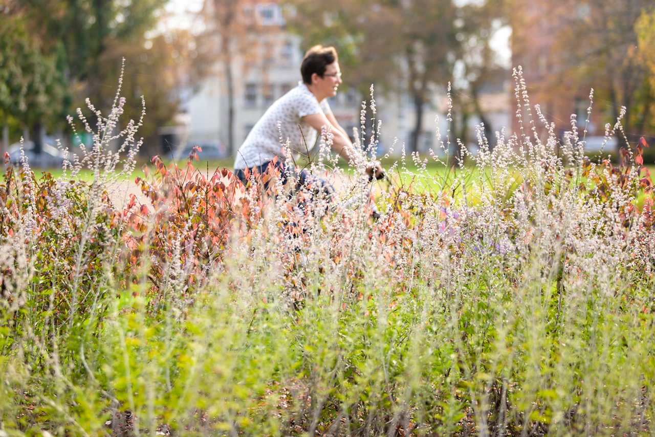 Frau fährt Fahrrad an Blumenwiese