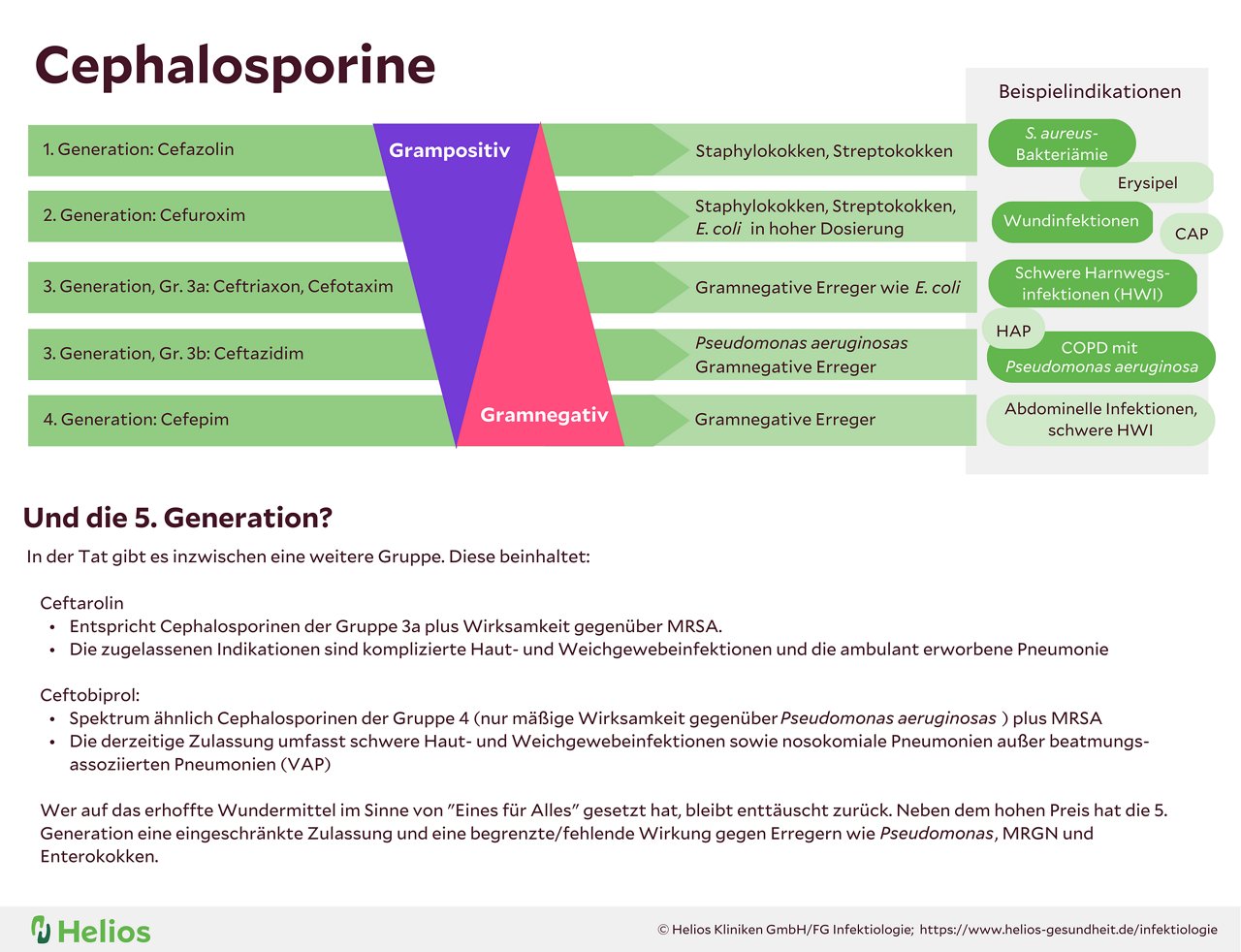 Cephalosporine Infografik