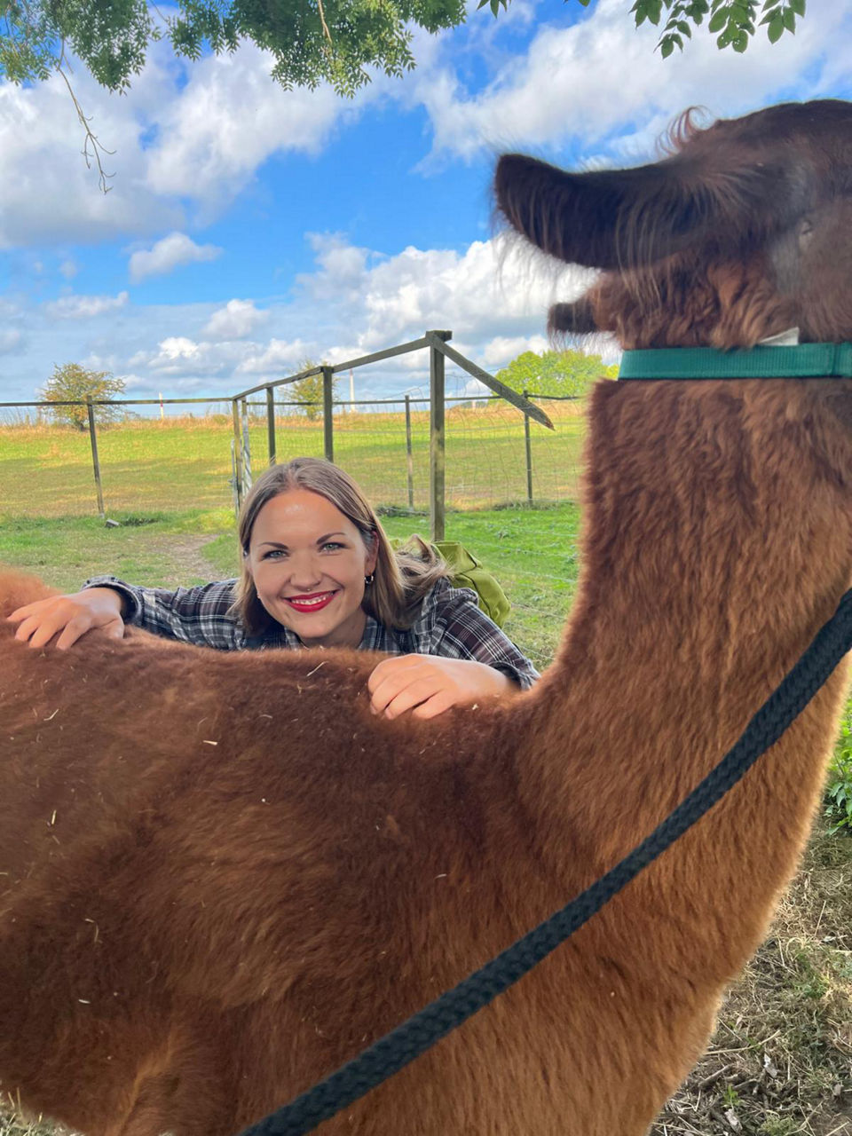Tiere als Seelentröster: Psychiatrische Patient:innen begegnen Lamas und Alpakas