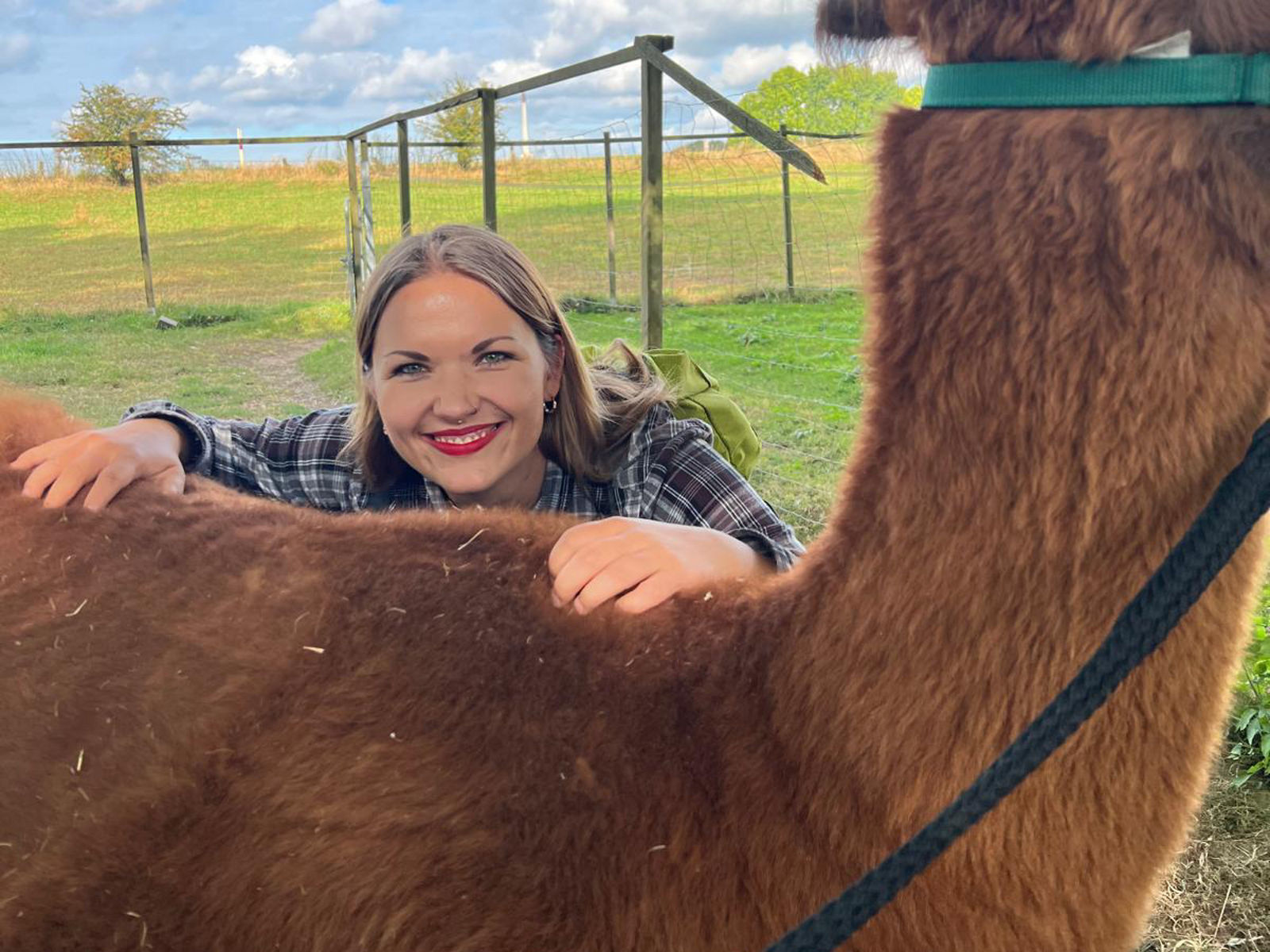 Tiere als Seelentröster: Psychiatrische Patient:innen begegnen Lamas und Alpakas